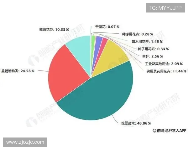 深度解读亚博电竞发展趋势及行业未来布局与创新路径全面分析前景